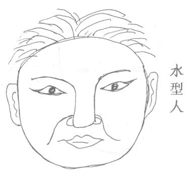 水型人帶木|【面相学】一看就会的五行识人